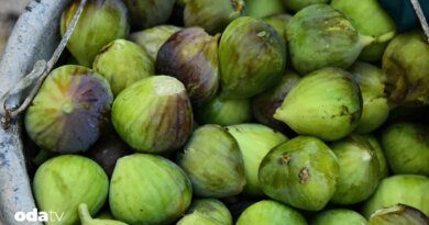 Avrupa ihracatından geri dönen gıdaları kim yiyor