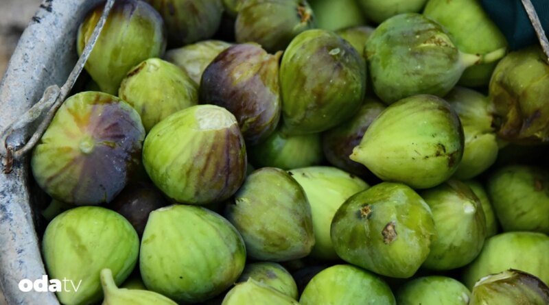 Avrupa ihracatından geri dönen gıdaları kim yiyor