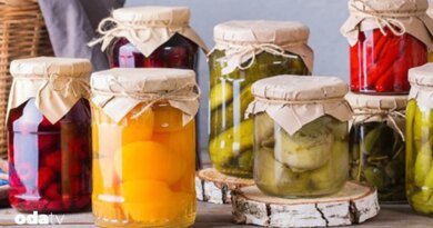 Dünyanın turşu haritası - Son Dakika GastrOda Haberleri