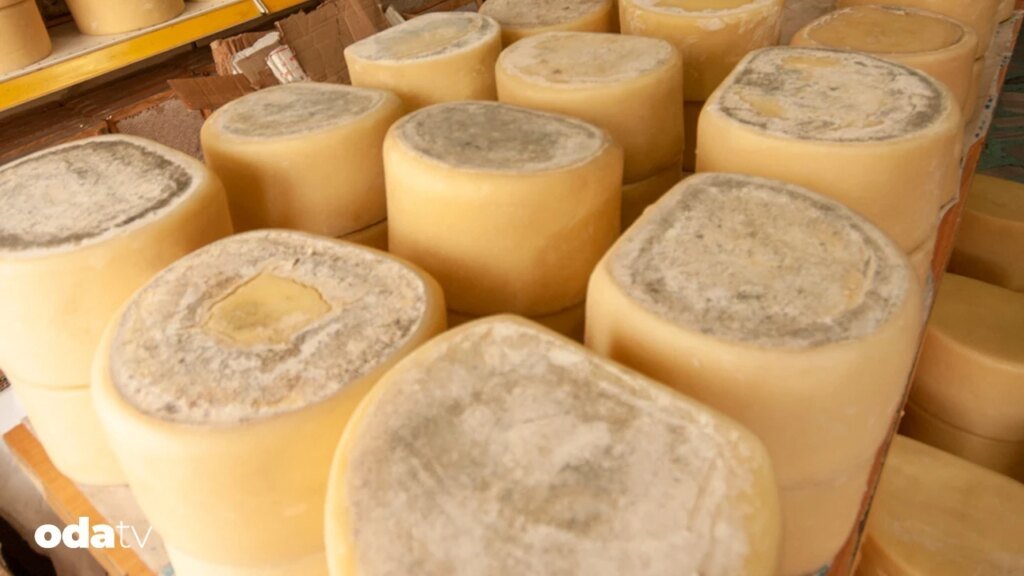 Peynirle yazılmış bir sınır hikayesi, Kars