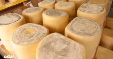 Peynirle yazılmış bir sınır hikayesi, Kars