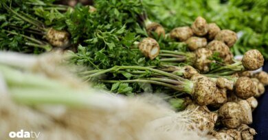 Kereviz neden sevilmiyor - Son Dakika GastrOda Haberleri