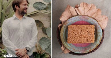 Noma, Los Angeles’a geliyor I Rene Redzepi’den 1.500 dolarlık menü