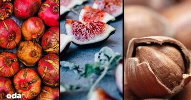 Avrupa kapısından yine dönen zehirler