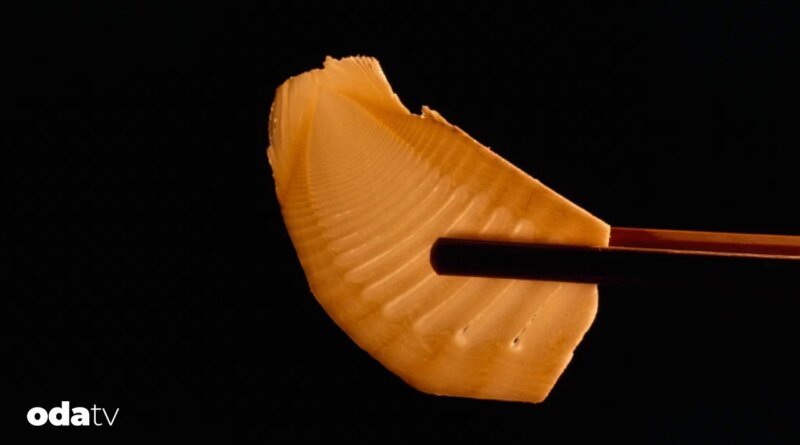 Bambu filizi yenir mi I Bambu filizi zehirli mi