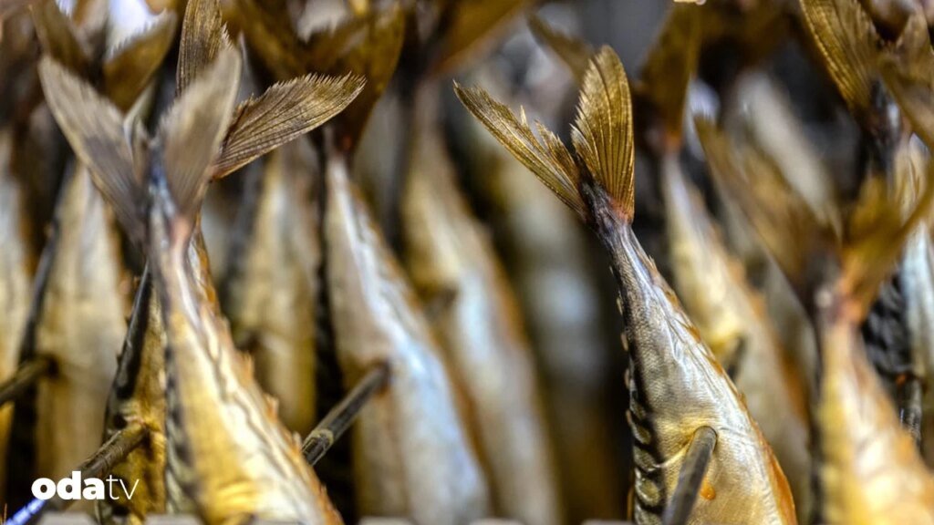 Buzdolabı öncesi gıdalar nasıl saklandı I Gıda koruma teknikler inedir