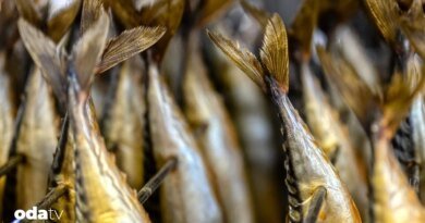 Buzdolabı öncesi gıdalar nasıl saklandı I Gıda koruma teknikler inedir