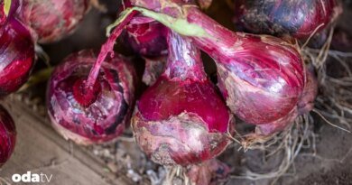 Dünyanın en ünlü soğanlarıyla pişen yemekler I Dünyanın en ünlü soğanları