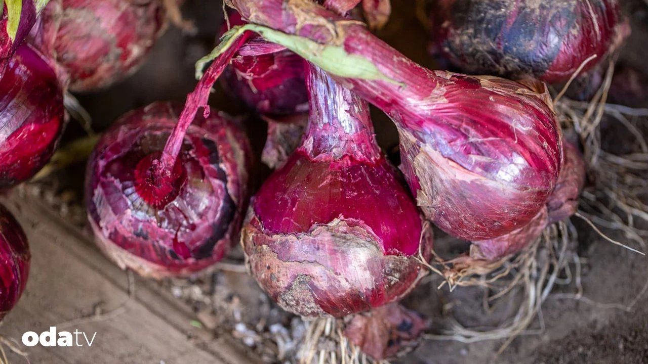 Dünyanın en ünlü soğanlarıyla pişen yemekler I Dünyanın en ünlü soğanları