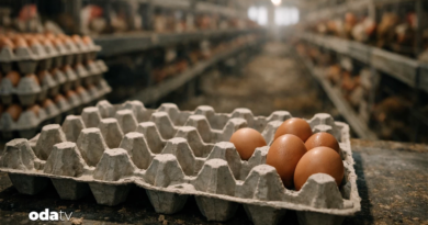 Yumurtalar nereye gitti: Sürpriz gerileme
                                    TÜİK’in “Kümes Hayvancılığı Üretimi” verilerine göre, Türkiye’de geçen yıl yumurta üretimi 1 milyar 262 milyon 395 bin adet azalarak 19 milyar 892 milyon 694 bine geriledi. Buna karşılık tavuk eti üretimi ve kesilen tavuk sayısında artış kaydedildi.