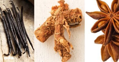 Badehu ne demek I 1600'lü yılların İstanbul'unda baharat