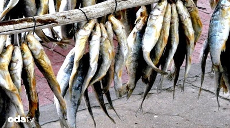 Çiroz zamanı, Boğaz’ın kayıp lezzeti