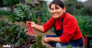 Dünyayı besleyen görünmez güç, kadın çiftçiler I Kadınların görünmeyen emeği
