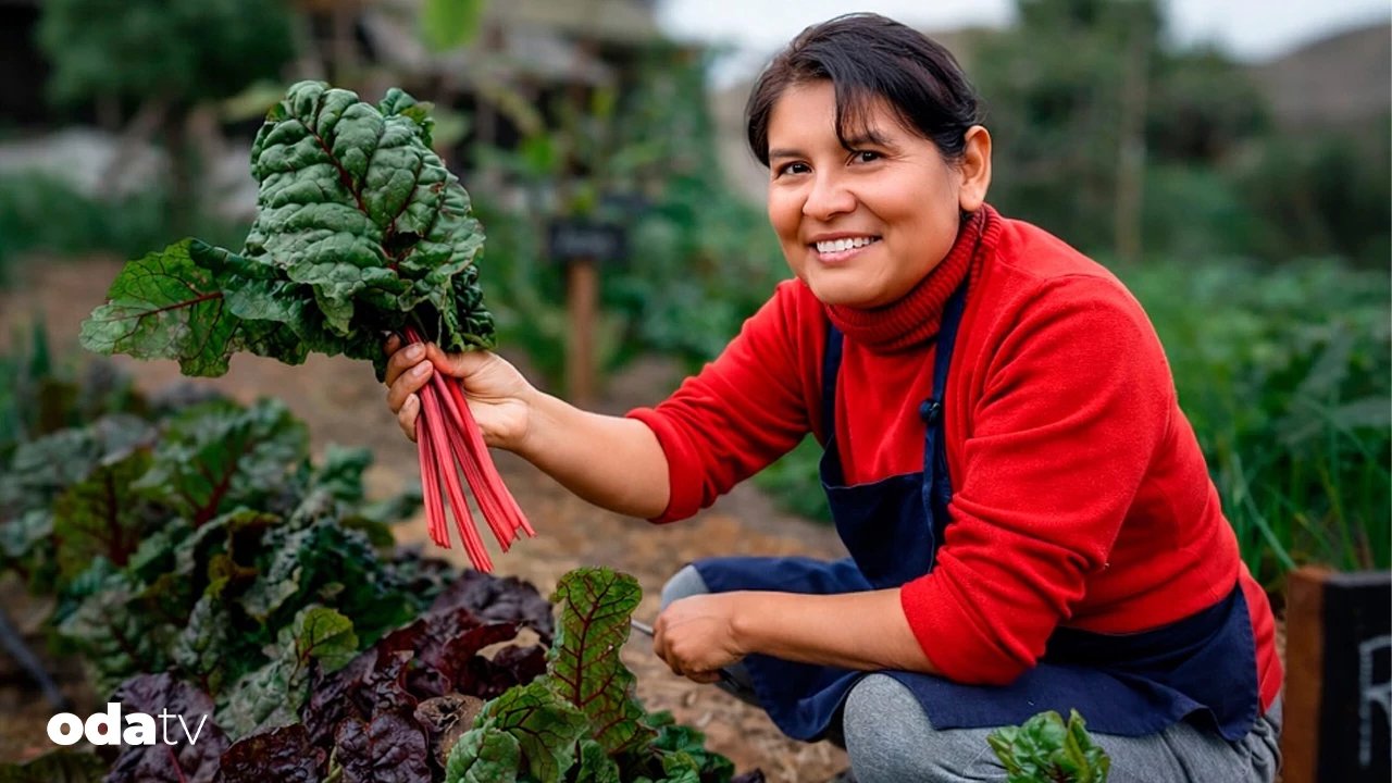 Dünyayı besleyen görünmez güç, kadın çiftçiler I Kadınların görünmeyen emeği