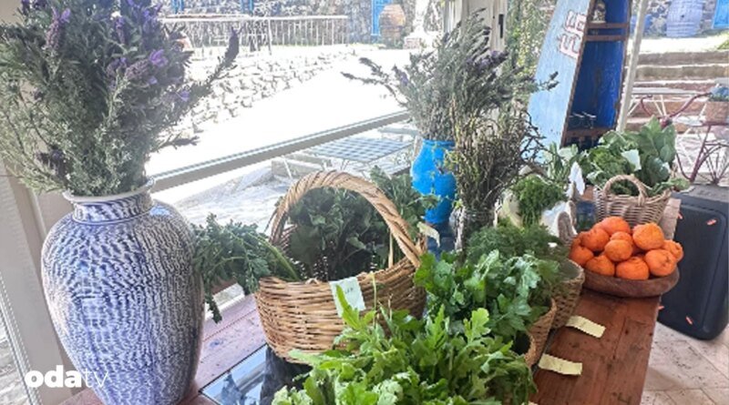 Ege’nin yabani ot çeşitleri - Son Dakika GastrOda Haberleri