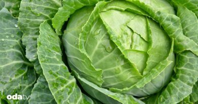 Lahananın faydaları - Son Dakika GastrOda Haberleri