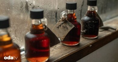 Akçaağaç şurubunun iklimle sınavı I Amerika'da akçaağaç şurubu üretimi