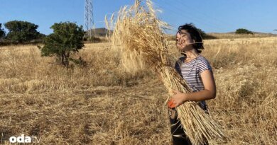 Bahar Soykan'ın deneyim mutfağı Nokta Kalamış I Anadolu'nun yerel buğdayları