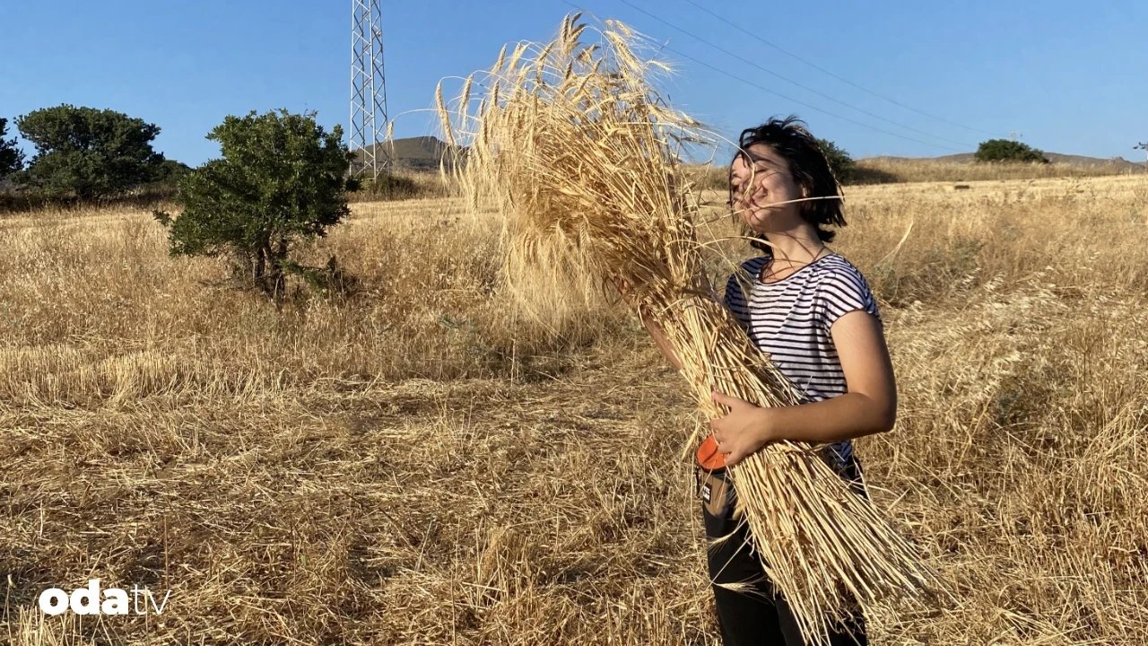 Bahar Soykan’ın deneyim mutfağı Nokta Kalamış I Anadolu’nun yerel buğdayları
