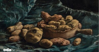 Hollanda'da 500 milyon patates ne olacak