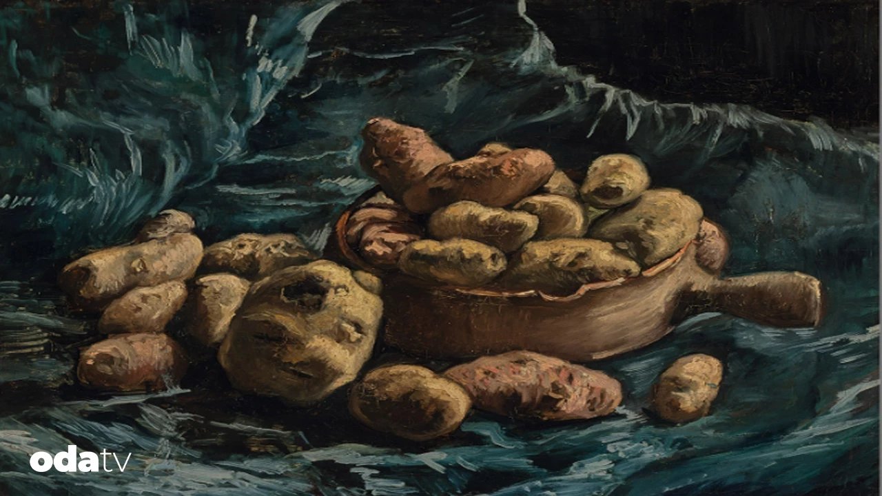 Hollanda’da 500 milyon patates ne olacak