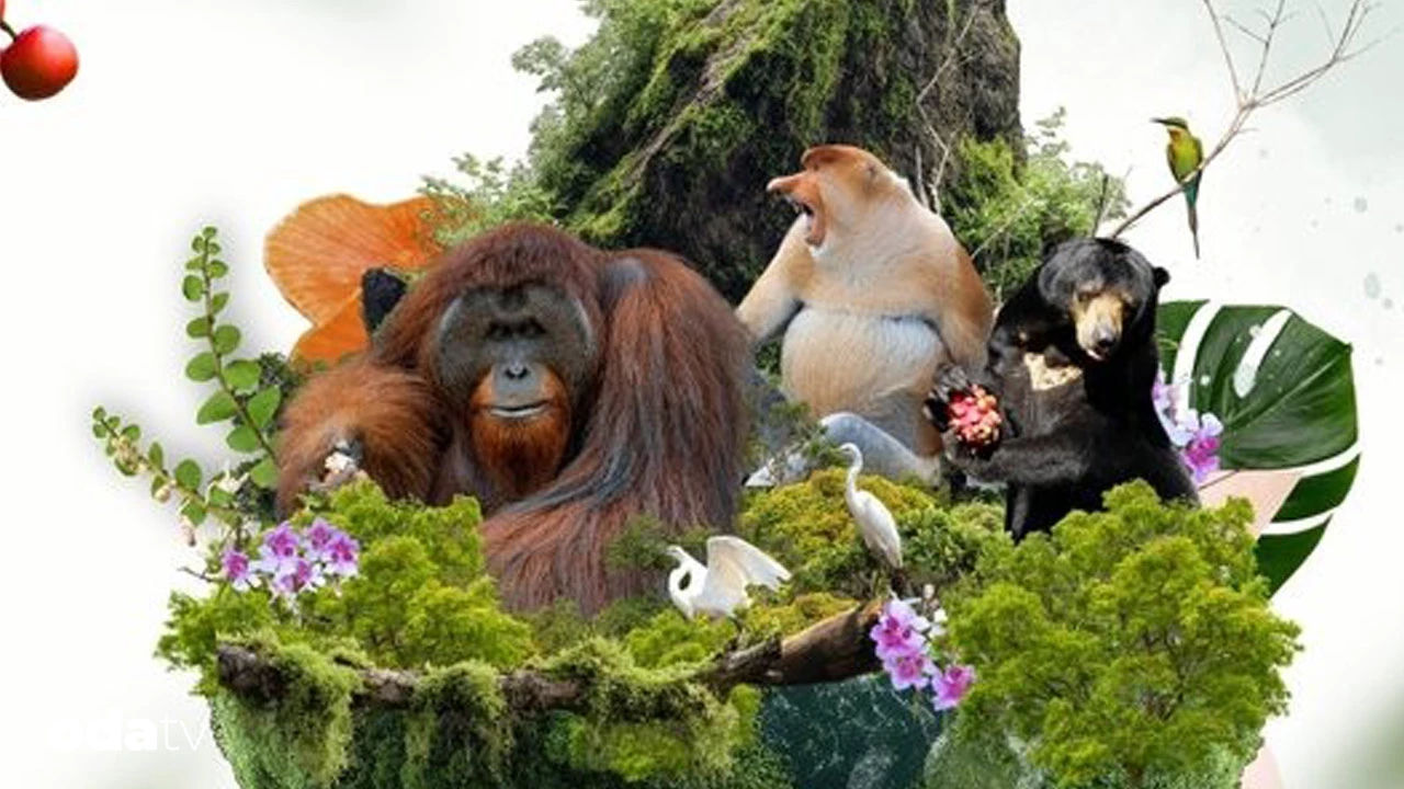 İklim krizi nedir I Dünya Günü’nde savaş, enerji ve gıda israfının etkileri I İklim krizi ve gıda israfı