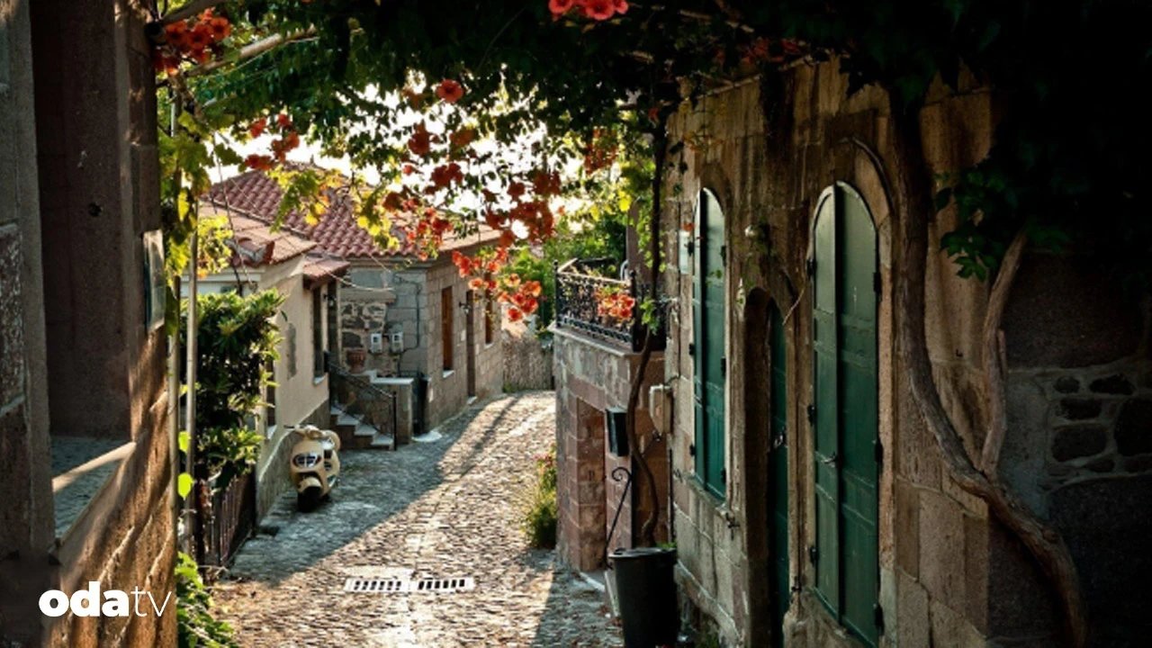 Midilli Adası’nda neler oluyor – Son Dakika GastrOda Haberleri