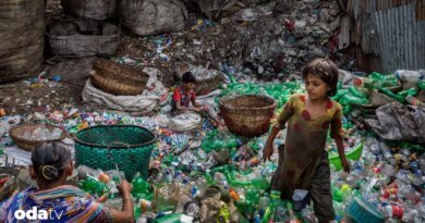 Plastik kirliliği sofralarımıza nasıl giriyor I Mikroplastik nedir
