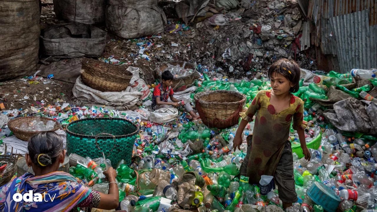 Plastik kirliliği sofralarımıza nasıl giriyor I Mikroplastik nedir