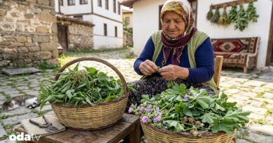 Rumelili marteniçka ve şifalı otların düğünü