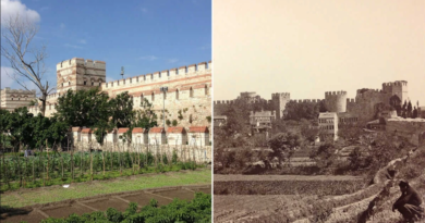 Türkiye’nin modern gıda sistemi yalanları