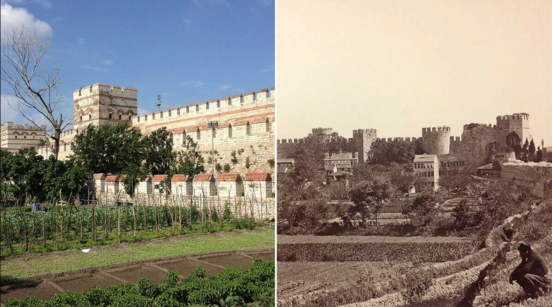 Türkiye’nin modern gıda sistemi yalanları