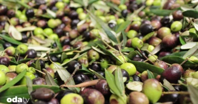 Türkiye’de gastronomi turizmi neden sürdürülemiyor I Yerel mutfaklar neden markalaşamıyor I balıkesir’in gastronomi potansiyeli neden değerlendirilemiyor