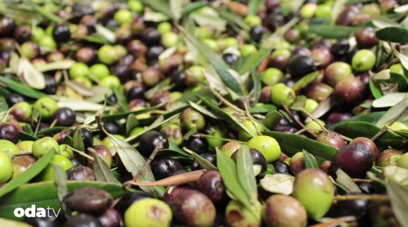 Türkiye’de gastronomi turizmi neden sürdürülemiyor I Yerel mutfaklar neden markalaşamıyor I balıkesir’in gastronomi potansiyeli neden değerlendirilemiyor