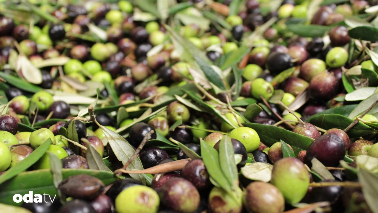 Türkiye’de gastronomi turizmi neden sürdürülemiyor I Yerel mutfaklar neden markalaşamıyor I balıkesir’in gastronomi potansiyeli neden değerlendirilemiyor