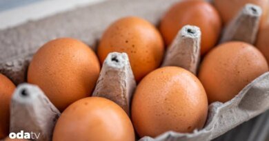 Yumurta saklama yönteminde kritik hata I Yumurta nasıl saklanmalı