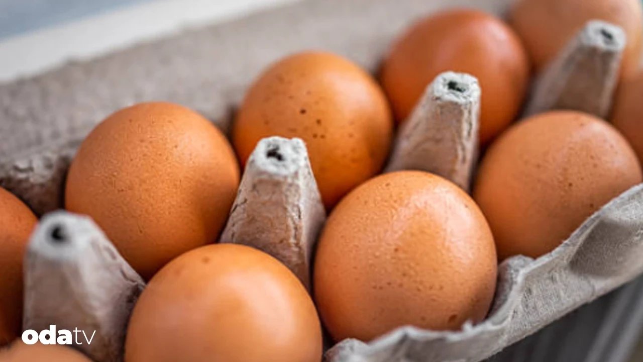 Yumurta saklama yönteminde kritik hata I Yumurta nasıl saklanmalı