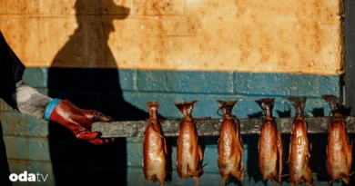 İskoçya'nın dumanla korunan mirası; Arbroath Smokie'nin hikayesi I Arbroath Smokie nedir I Arbroath Smokie nasıl yapılır