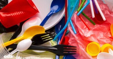 Mutfaktaki gizli plastik kaynakları - Son Dakika GastrOda Haberleri